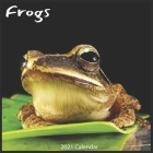 Frogs 2021 Calendar: Official Frog 2021 Wall Calendar 18 months By Today Wall Calendars 2021 Cover Image