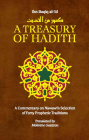 A Treasury of Hadith: A Commentary on Nawawi's Selection of Prophetic Traditions (Treasury in Islamic Thought and Civilization #1) By Mokrane Guezzou (Translator), Shaykh Al-Islam Ibn Daqiq Al-'id, Imam Nawawi Cover Image