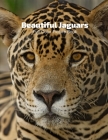 Beautiful Jaguars Full-Color Picture Book: Big Cats Picture Book for Children, Seniors and Alzheimer's Patients -Nature Animals Wildlife By Fabulous Book Press Cover Image