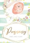 One Line a Day Pregnancy Cover Image