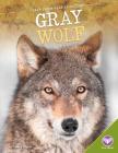 Gray Wolf (Back from Near Extinction) Cover Image