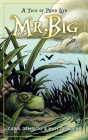 Mr. Big: A Tale of Pond Life By Carol Dembicki, Matt Dembicki Cover Image