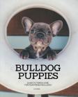 Bulldog Puppies: Guide to train & care for your french bulldog Cover Image