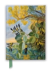 Kew: Marianne North: Flowers of the Flame-Tree and Yellow and Black Twiner, West Australia (Foiled Journal) (Flame Tree Notebooks) By Flame Tree Studio (Created by) Cover Image