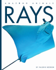 Rays (Amazing Animals) By Valerie Bodden Cover Image