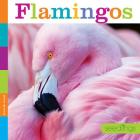 Flamingos (Seedlings) By Quinn M. Arnold Cover Image