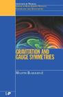 Gravitation and Gauge Symmetries (High Energy Physics) By M. Blagojevic Cover Image