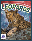 Leopards By Sophie Geister-Jones Cover Image