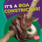 It's a Boa Constrictor! By Tessa Kenan Cover Image