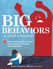 Big Behaviors in Small Containers: 131 Trauma-Informed Play Therapy Interventions for Disorders of Dysregulation Cover Image