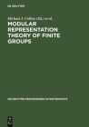 Modular Representation Theory of Finite Groups (de Gruyter Proceedings in Mathematics) By Michael J. Collins (Editor), Brian J. Parshall (Editor), Leonard L. Scott (Editor) Cover Image