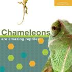 Chameleon - English By Armi Mamar, Mohamed Abakar Cover Image