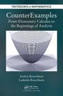 Counterexamples: From Elementary Calculus to the Beginnings of Analysis (Textbooks in Mathematics) By Andrei Bourchtein, Ludmila Bourchtein Cover Image