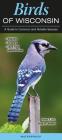 Birds of Wisconsin: A Guide to Common & Notable Species By Greg R. Homel Cover Image