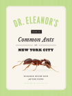 Dr. Eleanor's Book of Common Ants of New York City By Eleanor Spicer Rice, Alex Wild, Rob Dunn Cover Image
