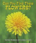 Can You Find These Flowers? (All about Nature) By Carmen Bredeson, Lindsey Cousins Cover Image