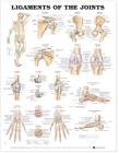 Ligaments of the Joints Anatomical Chart By Anatomical Chart Company (Prepared for publication by) Cover Image