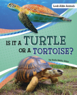 Is It a Turtle or a Tortoise? By Anita Nahta Amin Cover Image