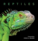 Reptiles  (Deluxe) Cover Image