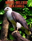 White-Bellied Sea Eagle: Beautiful Pictures & Interesting Facts Children Book About White-Bellied Sea Eagle By Alice William Cover Image