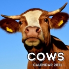 Cows Calendar 2021: 16-Month Calendar, Cute Gift Idea For Cow Lovers Women & Men Cover Image
