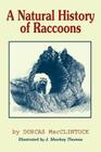 A Natural History of Raccoons By Dorcas MacClintock, Jan Sharkey Thomas (Illustrator) Cover Image