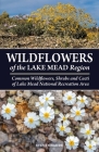 Wildflowers of the Lake Mead Region By Steve W. Chadde Cover Image