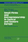 Small Firms and Entrepreneurship in Central and Eastern Europe: A Socio-Economic Perspective (Technology #14) By Oliver Pfirrmann (Editor), Günter H. Walter (Editor) Cover Image