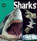 Sharks (Insiders) By Beverly McMillan, John A. Musick Cover Image