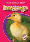Ducklings (Watch Animals Grow) By Colleen Sexton Cover Image