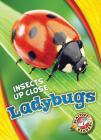 Ladybugs (Insects Up Close) Cover Image