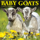 Baby Goats 2023 Wall Calendar By Willow Creek Press Cover Image