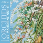 Kew Gardens: Orchids by Marianne North Mini Wall calendar 2022 (Art Calendar) By Flame Tree Studio (Created by) Cover Image
