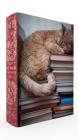 Cat Nap Book Box Puzzle 1000 Piece, Clamshell (Lovelit) By Gibbs Smith Gift (Created by) Cover Image