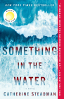 Something in the Water: A Novel By Catherine Steadman Cover Image