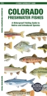 Colorado Freshwater Fishes: A Waterproof Folding Guide to Native and Introduced Species (Pocket Naturalist Guides) Cover Image