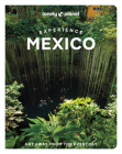 Lonely Planet Experience Mexico (Travel Guide) By Nellie Huang, Joel Balsam, Jennifer Fernández Solano, John Hecht, Anna Kaminski, Mara Morhees, Liza Prado, Brendan Sainsbury, Regis St Louis, Paul Stafford, Iain Stewart, Phillip Tang Cover Image