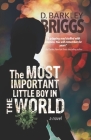 The Most Important Little Boy in the World By D. Barkley Briggs Cover Image