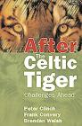 After the Celtic Tiger: Challenges Ahead Cover Image
