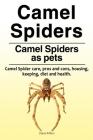 Camel spiders. Camel spiders as pets. Camel spider care, pros and cons, housing, keeping, diet and health. Cover Image