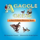 A Gaggle of Geese: A Flora N. Fauna Discovery Book By Sergio Garzon (Illustrator), Jacqueline Francis Cover Image