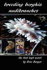 Breeding Berghia Nudibranches the best kept secret By Dene Banger Cover Image