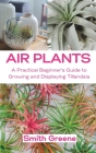 Air Plants: A Practical Beginner's Guide to Growing and Displaying Tillandsia Cover Image