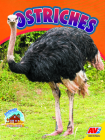 Ostriches (Animals on the Farm) By Sierra Wilson Cover Image