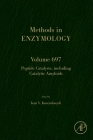 Peptide Catalysts, Including Catalytic Amyloids: Volume 697 (Methods in Enzymology #697) Cover Image