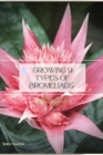 Growing 9 Types of Bromeliads: Plant Guide By Sergy Savosh Cover Image
