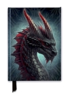 Kerem Beyit: Fierce Dragon (Foiled Journal) (Flame Tree Notebooks) Cover Image