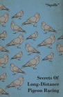 Secrets of Long-Distance Pigeon Racing By Squills Cover Image