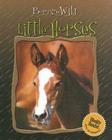 Little Horses (Born to Be Wild) By Colette Barbe-Julien Cover Image