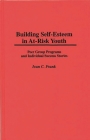 Building Self-Esteem in At-Risk Youth: Peer Group Programs and Individual Success Stories (Cambridge Studies in Eighteenth-Century) By Ivan C. Frank Cover Image